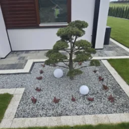 Ogród z ozdobnym drzewem bonsai, białymi kulami i szarym żwirem, otoczony kostką. Widoczny trawnik i rząd tuj w tle. Nowoczesny design ogrodu.