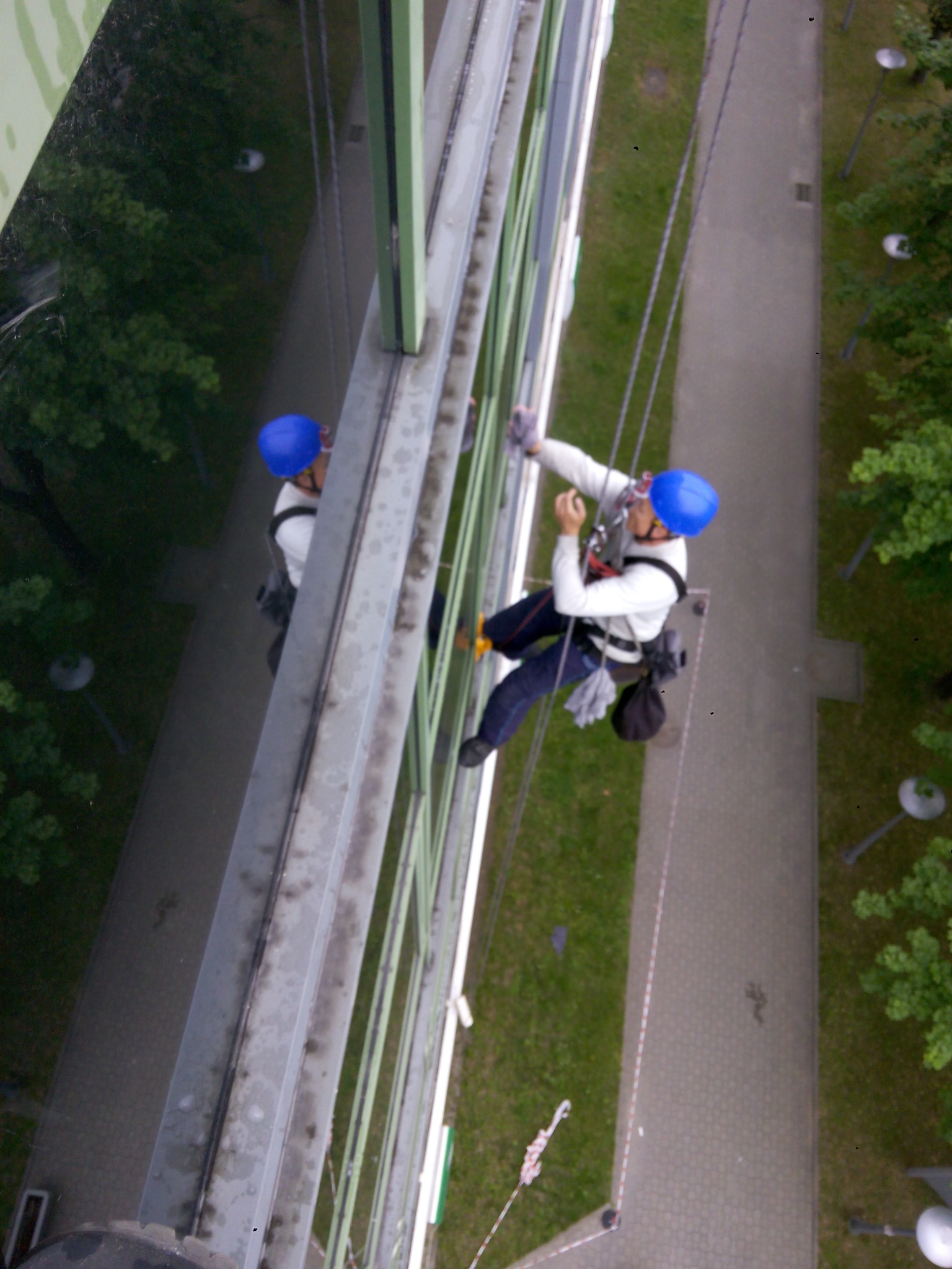 Pracownik w niebieskim kasku, zawieszony na linach, czyści szklaną elewację budynku, widok z góry na chodnik i zieleń.