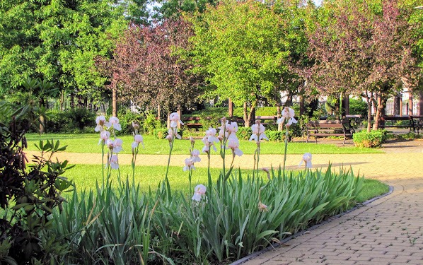 Kwitnące rośliny w pobliżu ścieżek stanowią walor dekoracyjny i roztaczają miły zapach.