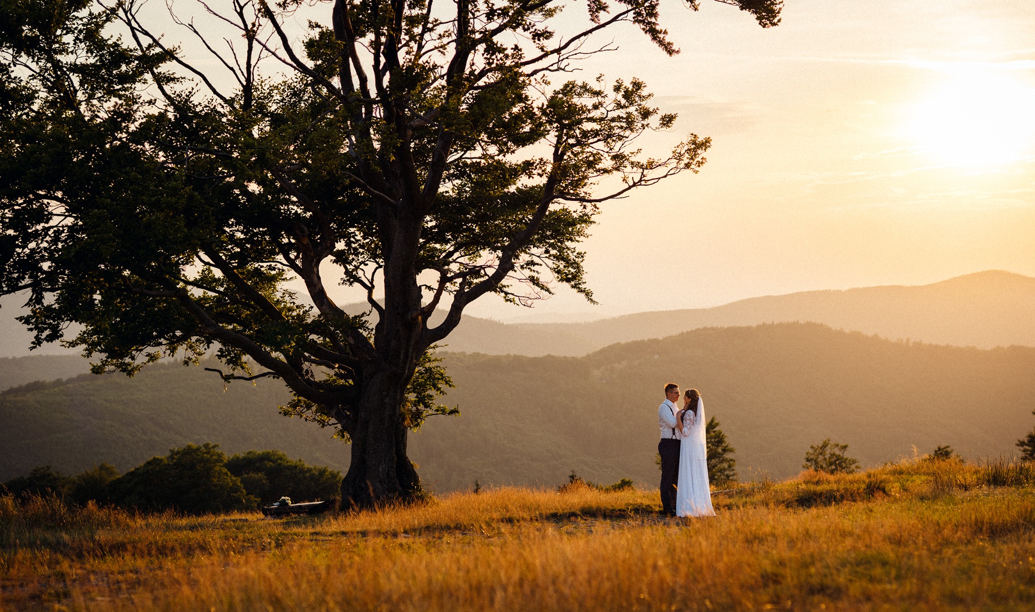 Para młoda w strojach ślubnych, stojąca na wzgórzu o zachodzie słońca, z widokiem na góry w tle i rozłożystym drzewem po lewej stronie.