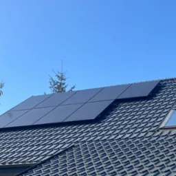 Czarne panele słoneczne na dachu z dachówki ceramicznej, widok z dołu w słoneczny dzień, w tle fragment drzewa iglastego i komin.