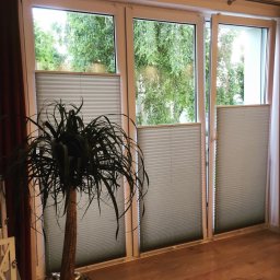 Maxus Jakub Maj - Jasnoszare, plisowane osłony okienne zamontowane w białych ramach okiennych, widok z wnętrza, z rośliną doniczkową na pierwszym planie i zielenią za oknem.