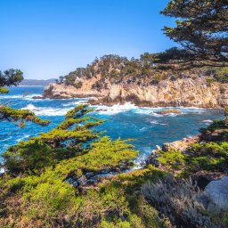 Malarstwo artystyczne Warszawa 1