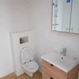 Nowoczesna łazienka z podwieszaną toaletą, umywalką z szafką z drewnianym fornirem i lustrem z odbiciem kabiny prysznicowej.