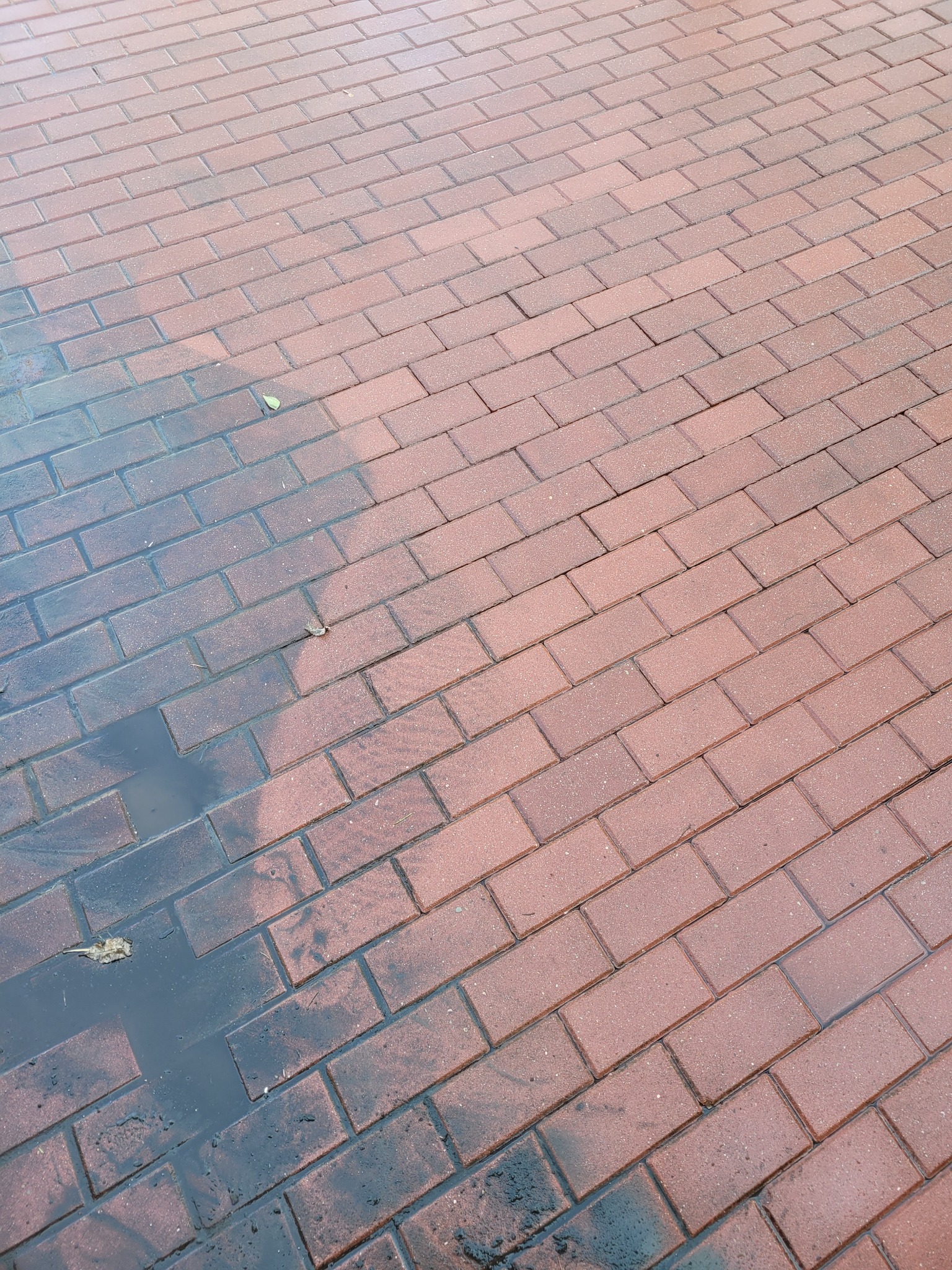 Częściowo umyta czerwona kostka brukowa, widoczna różnica w kolorze między czystą i brudną częścią, na mokrej powierzchni leżą pojedyncze liście.