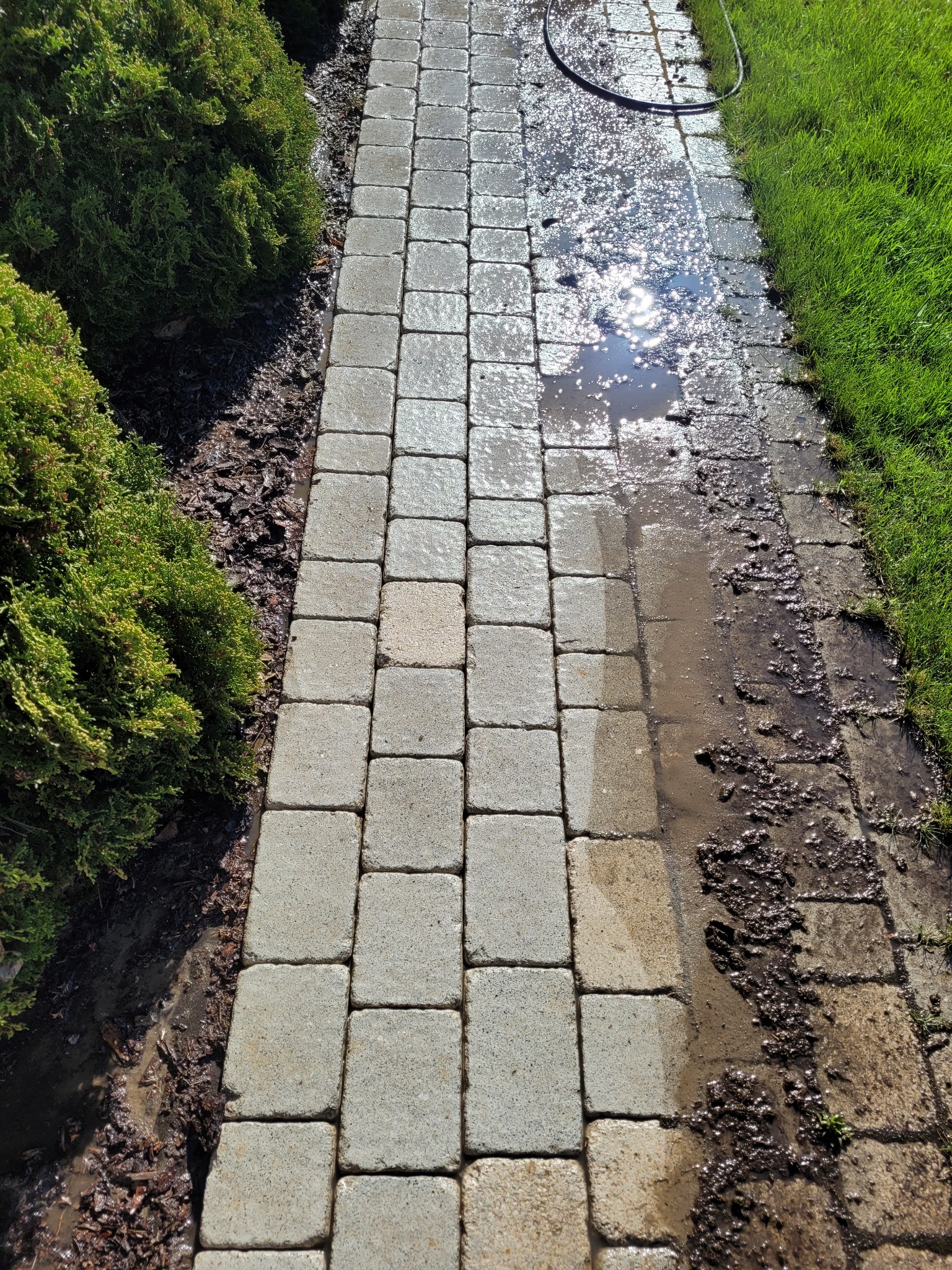 Częściowo umyta kostka brukowa z widocznymi śladami brudu i kałużą wody, otoczona zielonym trawnikiem i krzewami.