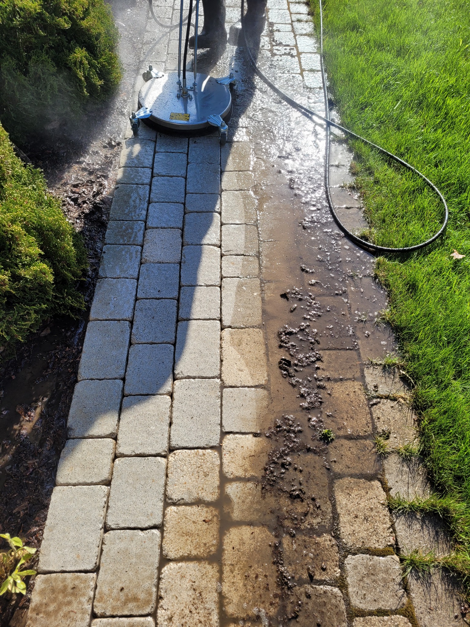 Czyszczenie kostki brukowej za pomocą myjki ciśnieniowej z okrągłą dyszą, widoczny efekt różnicy między czystą a brudną powierzchnią, trawnik i krzewy w tle.