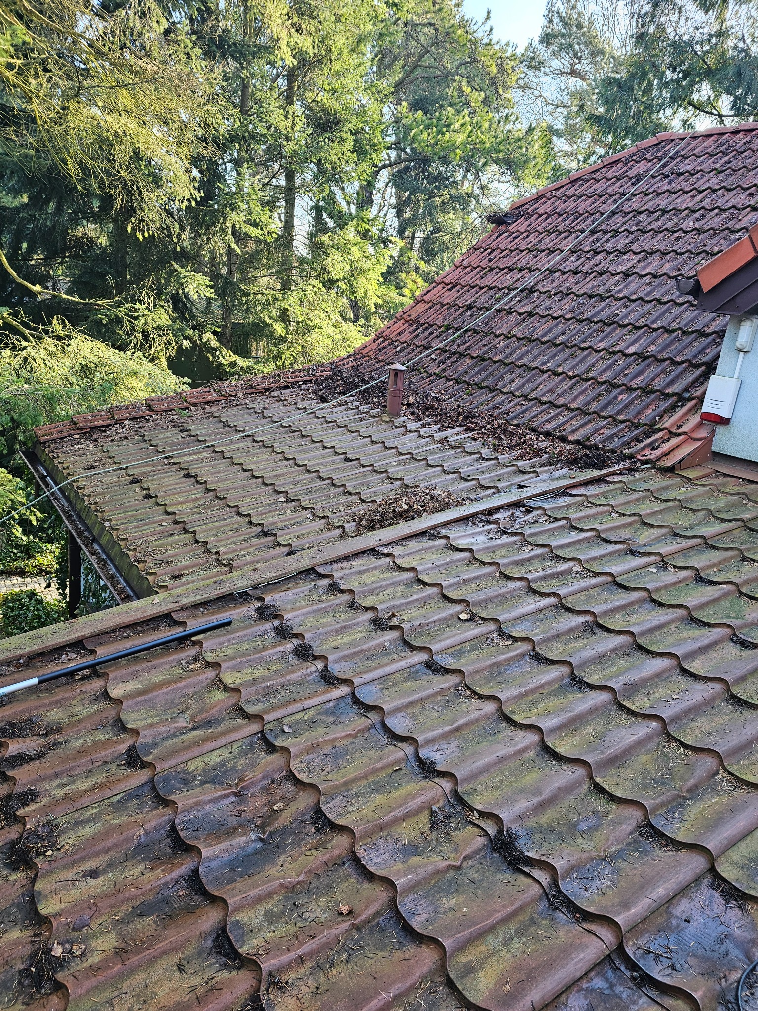 Zaniedbany, czerwono-brązowy dach pokryty mchem, liśćmi i igliwiem, z widoczną rurą spustową i fragmentem instalacji alarmowej na ścianie budynku, na tle zielonych drzew.