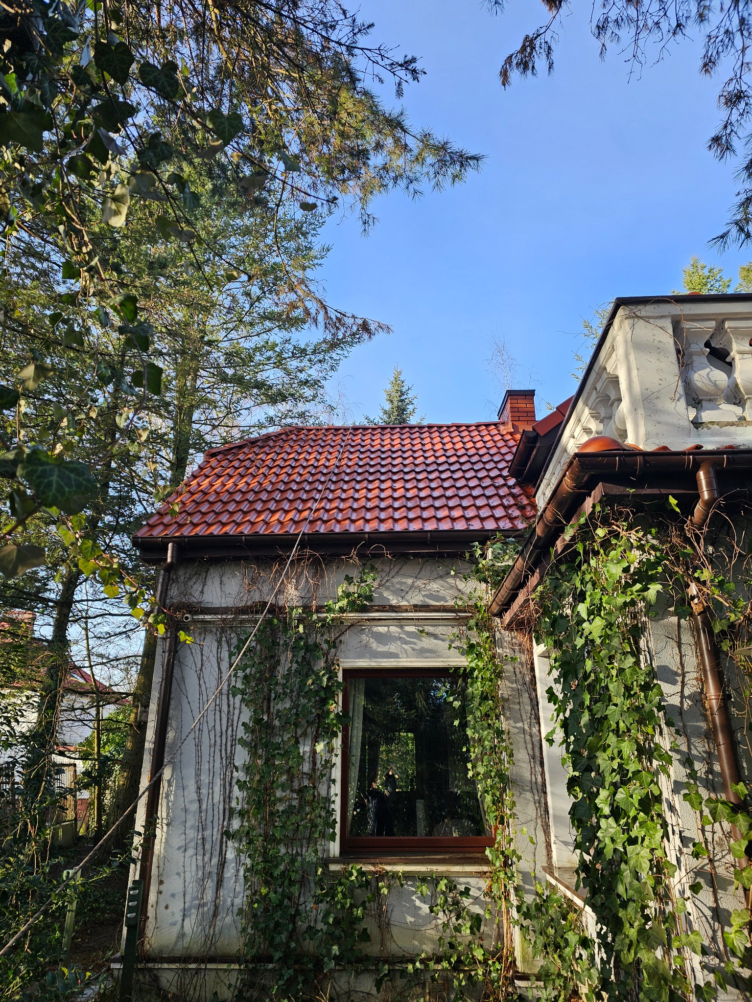 Jasny budynek z czerwoną dachówką, częściowo porośnięty bluszczem, widziany z dołu, z fragmentem drzew i błękitnego nieba w tle.