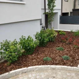 Aranżacja rabaty z korą i roślinami ozdobnymi przy białym budynku, wykończona granitową kostką brukową.