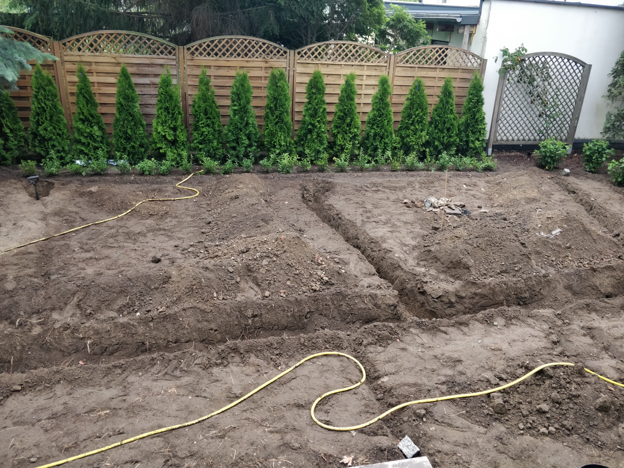 Przygotowanie terenu pod nasadzenia: wykopane rowy w ziemi, widoczne tujki wzdłuż drewnianego płotu z kratką, żółty przewód na ziemi.