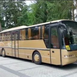 Złoty autokar turystyczny zaparkowany na parkingu z kostki brukowej, w tle zielone drzewa. Widoczny drugi, mniejszy, niebieski autobus.