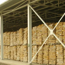 Magazyn zadaszony, wypełniony paletami z drewnem opałowym pociętym na szczapy i zapakowanym w przezroczystą folię.