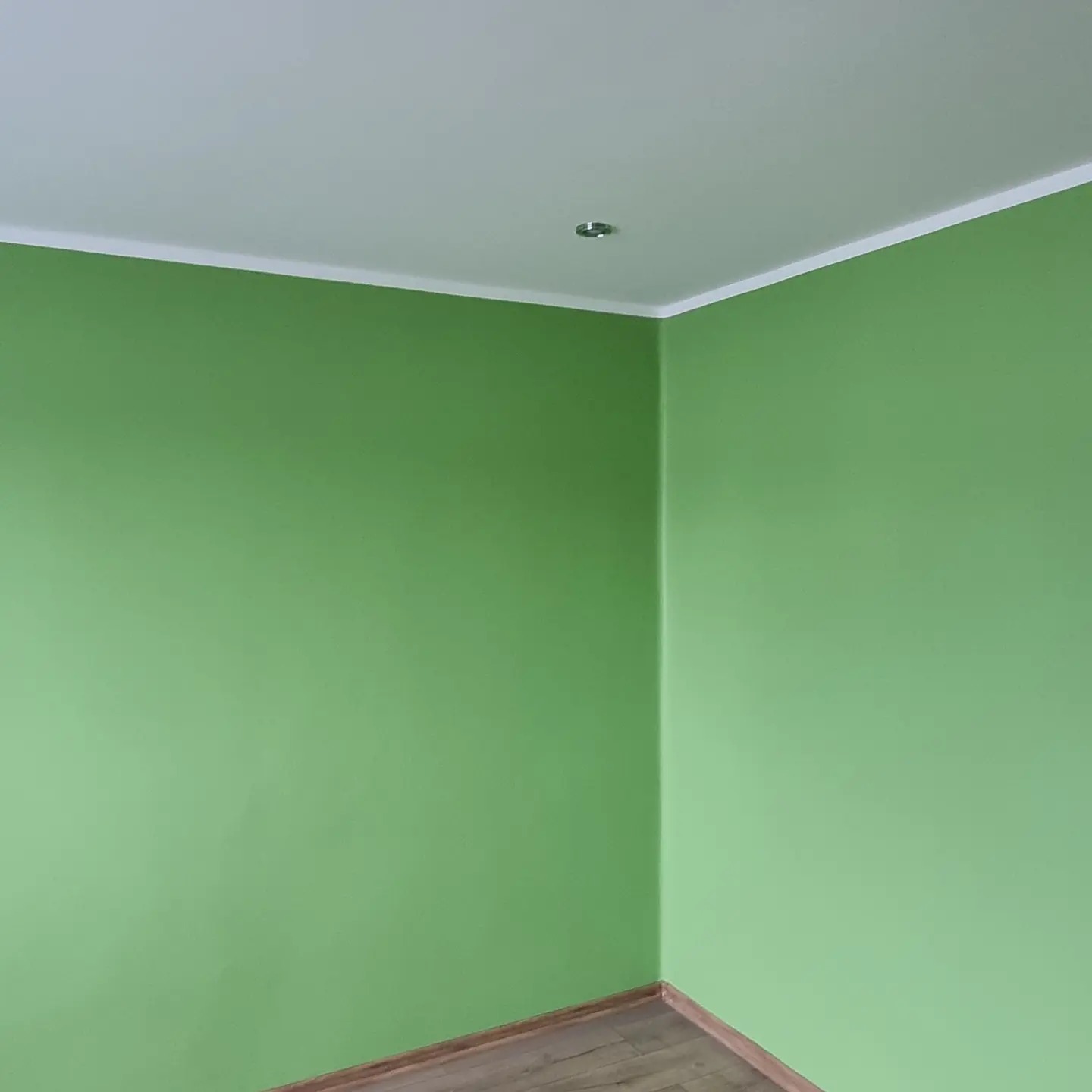 Świeżo pomalowane na zielono wnętrze pokoju z białym sufitem, listwami przypodłogowymi i wbudowanym oświetleniem punktowym, widoczne fragmenty drewnianej podłogi.