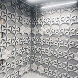KRAFT-BUDOWNICTWO - Szara ściana z dekoracyjnymi panelami akustycznymi o wzorze geometrycznym z elementami w kształcie kwiatów i owali, oświetlona górnym światłem.