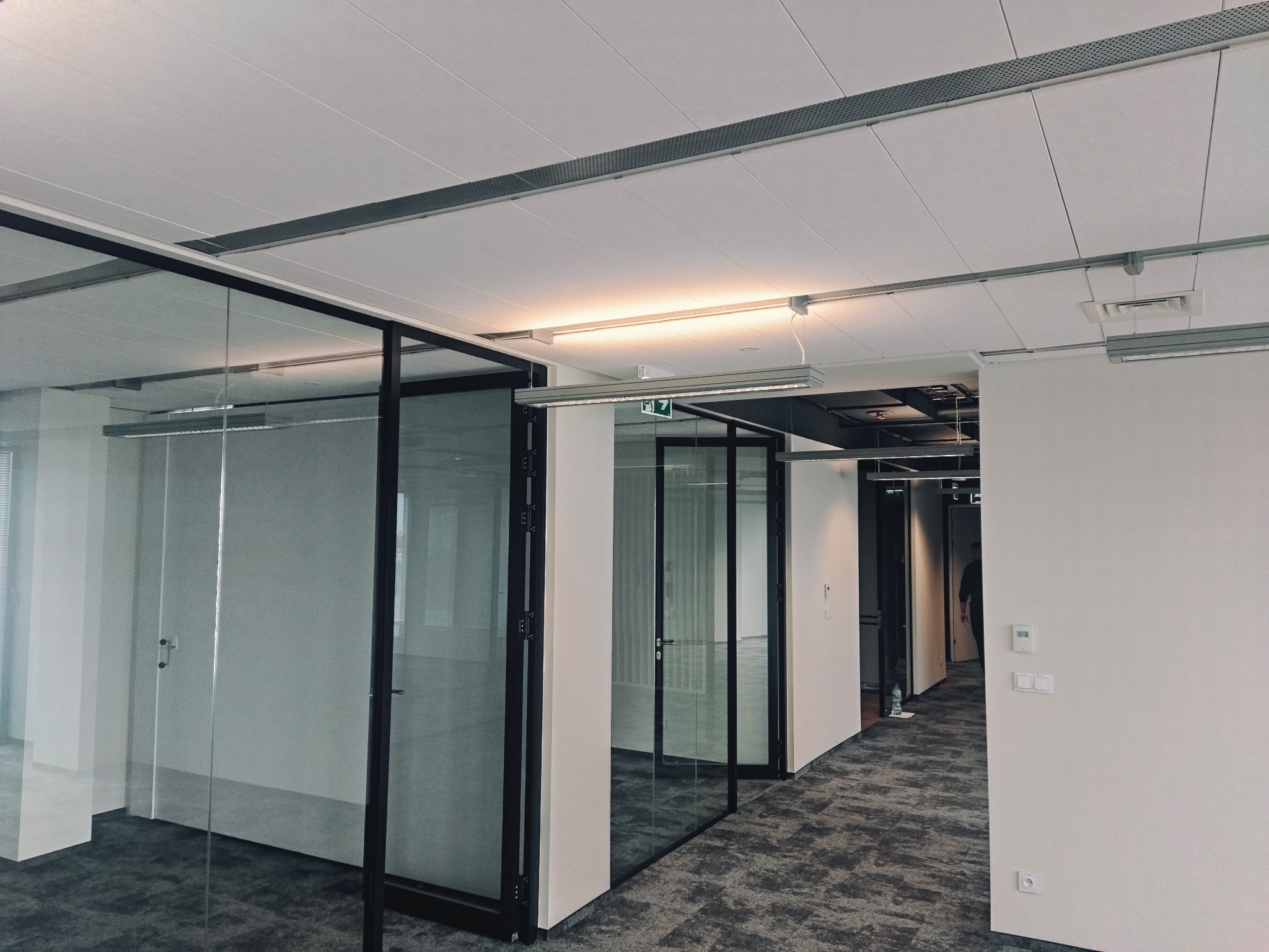 Nowoczesne biuro z przeszklonymi ścianami działowymi i panelowym sufitem, widoczne oświetlenie liniowe i szara wykładzina dywanowa.