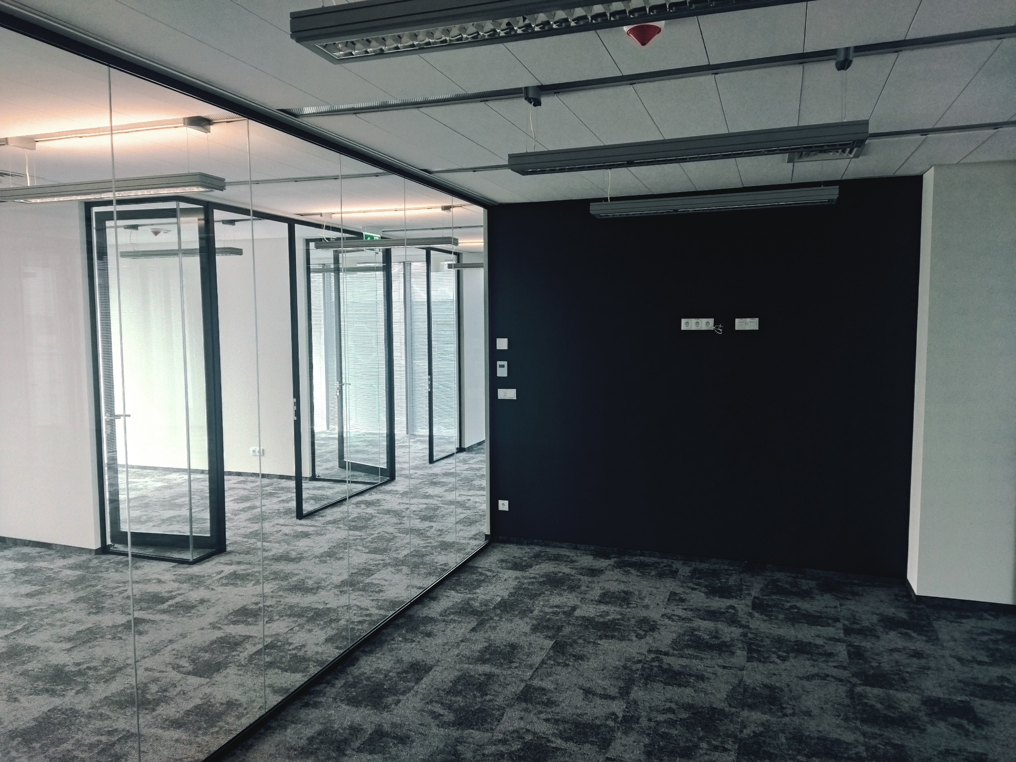 Nowoczesne biuro z przeszklonymi ścianami działowymi, czarną ścianą i szarą wykładziną dywanową w geometryczny wzór.