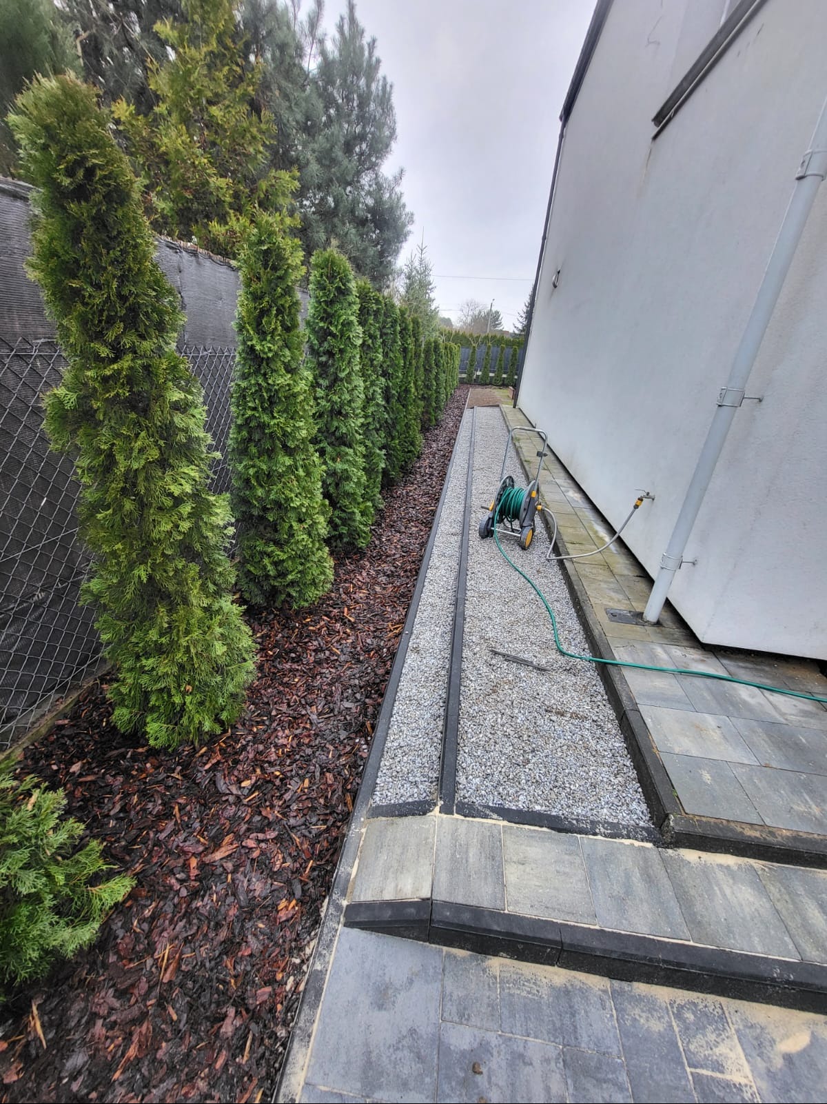 Ścieżka z kostki brukowej i kamienia ozdobnego wzdłuż domu, obok rzędu tuj i kory. Widoczny wąż ogrodowy. Ujęcie z niskiej perspektywy.