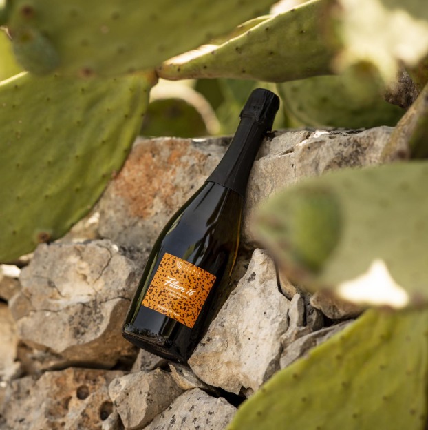 Butelka ciemnego wina musującego Filare 16, oparta o kamienny mur, otoczona liśćmi opuncji.