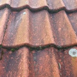 Dachy Czajkowscy - Michał Czajkowski - Czerwona dachówka ceramiczna pokryta mchem i porostami, widoczne ślady zabrudzeń i erozji, ujęcie z bliska.