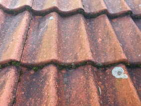 Czerwona dachówka ceramiczna pokryta mchem i porostami, widoczne ślady zabrudzeń i erozji, ujęcie z bliska.