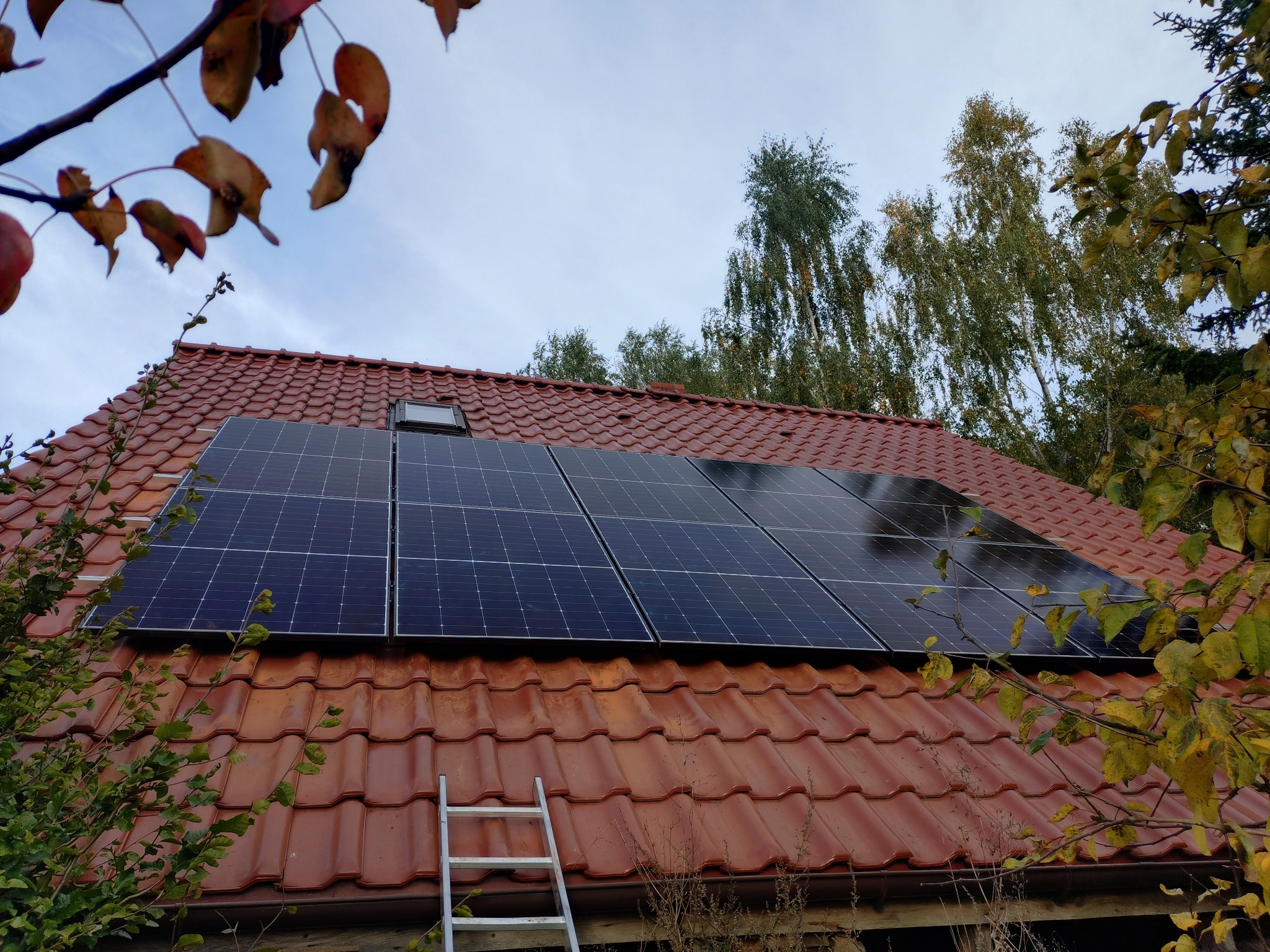 Panele słoneczne na dachu z czerwoną dachówką, widziane z dołu, z fragmentem drabiny i jesiennymi liśćmi w kadrze. Błękitne niebo w tle.
