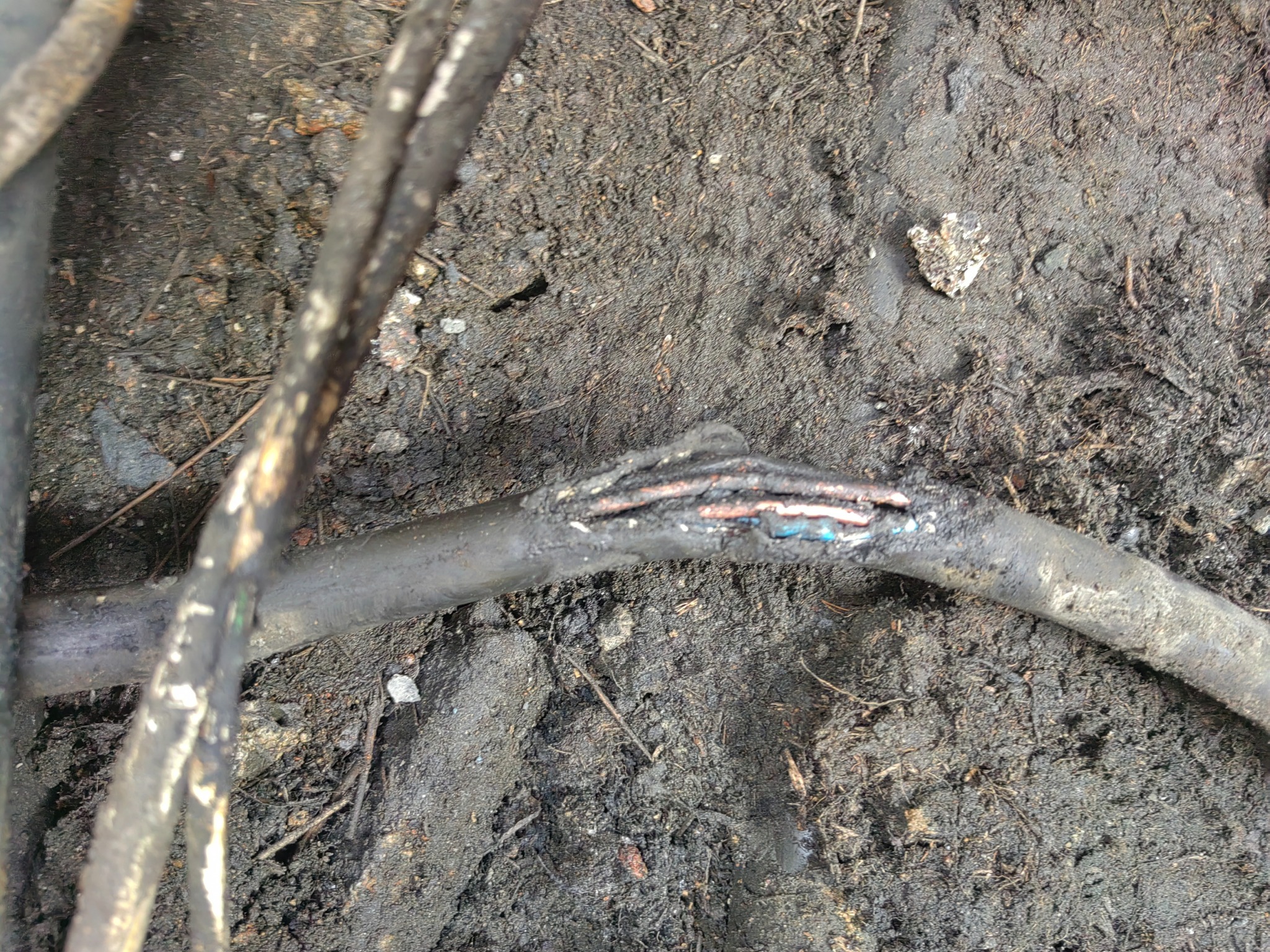 Uszkodzony, czarny kabel elektryczny z widocznymi przewodami w ziemi. Kabel przerwany, z naruszoną izolacją, leżący na brudnym podłożu.