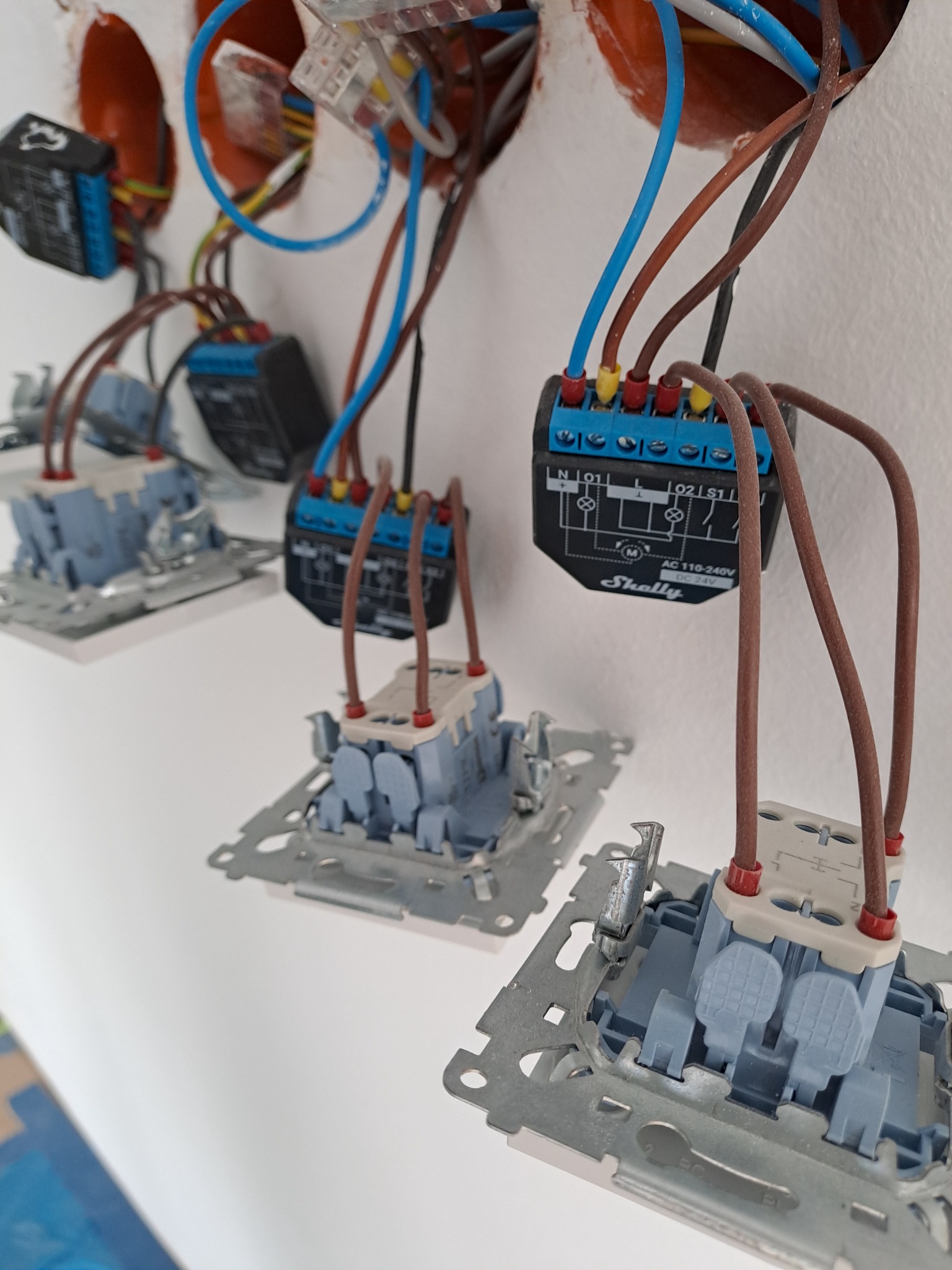 Szereg niezamontowanych, częściowo podłączonych, inteligentnych modułów sterujących oświetleniem Shelly, wystających ze ściany, z widocznymi przewodami w kolorach niebieskim i brązowym.