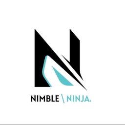 NIMBLE-NINJA WERONIKA GROTKIEWICZ - Firma Reklamowa Katowice
