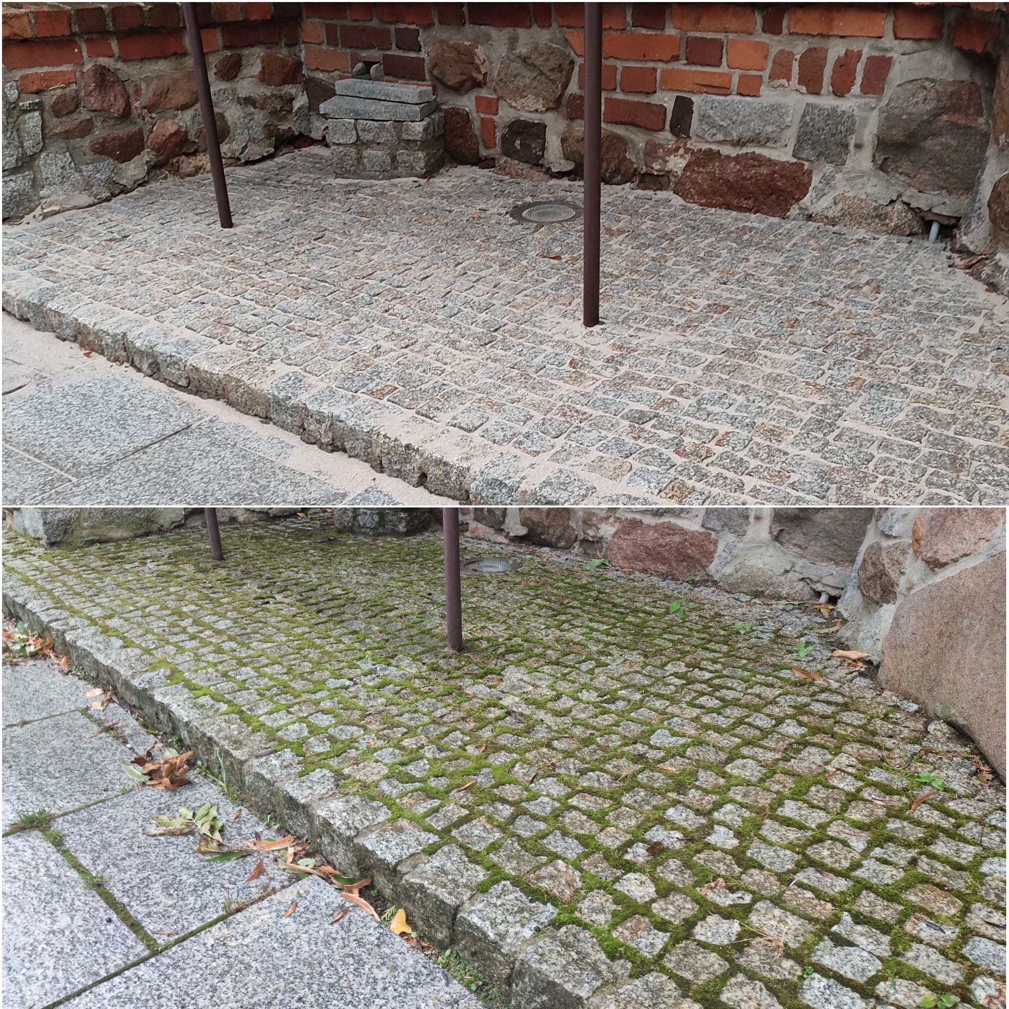 Porównanie kostki brukowej przed i po czyszczeniu: dolna część pokryta mchem i liśćmi, górna czysta, ukazująca szarą barwę kamienia.