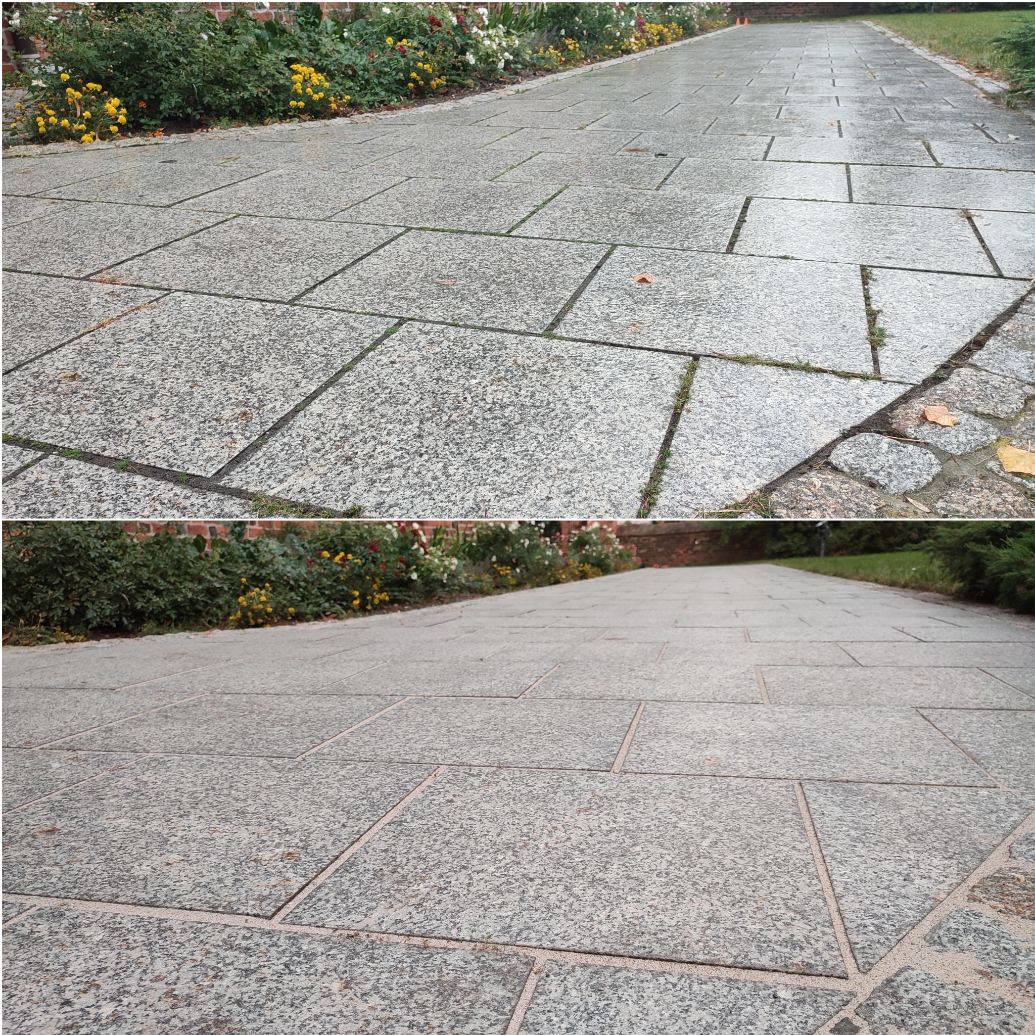 Szary chodnik z kostki brukowej prowadzący wzdłuż rabaty z kolorowymi kwiatami i zielenią, widok z perspektywy osoby stojącej na chodniku.