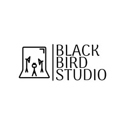 Black Bird Studio - Kamerzysta Na Wesele Ostróda