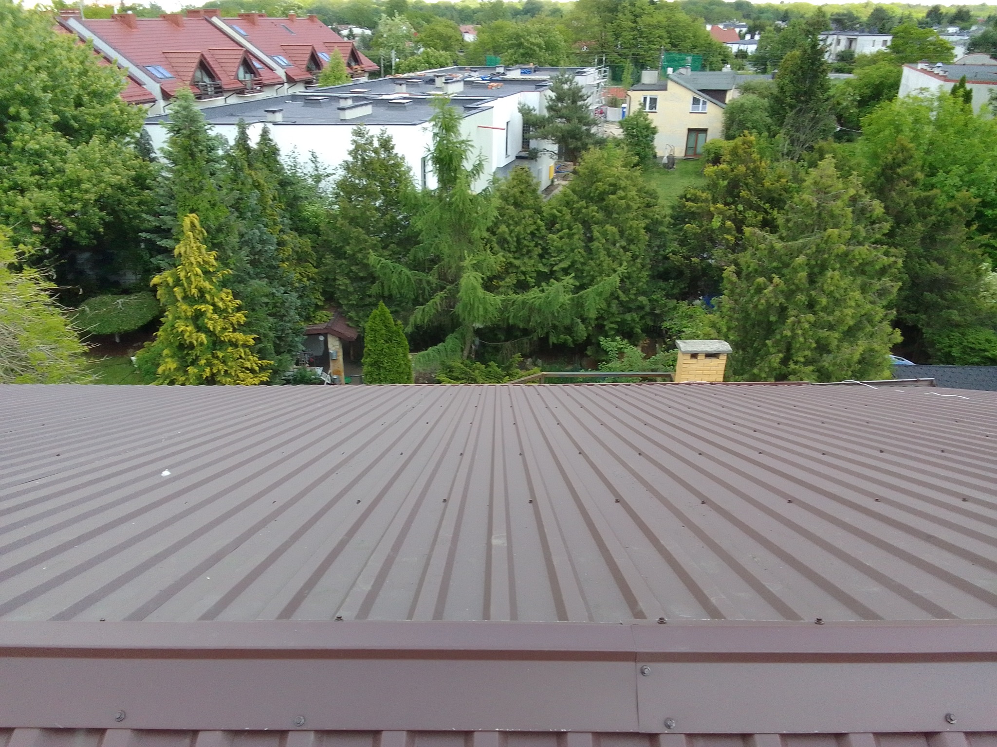 Brązowy blaszany dach z widokiem na zielone drzewa i domy w tle, uchwycony z perspektywy dachu. Widoczne łączenia blachy i elementy mocujące.
