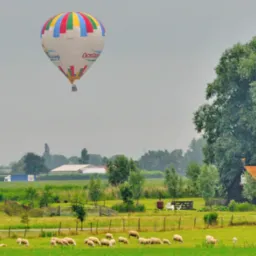 Kolorowy balon na tle holenderskiego krajobrazu z pasącymi się owcami na zielonym polu i małym domkiem z pomarańczowym dachem.