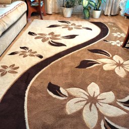 Clinox - Profesjonalne pranie kanap i tapicerki meblowej Warszawa - Beżowo-brązowy dywan z motywem kwiatowym, leżący na parkiecie w jasnym wnętrzu z roślinami doniczkowymi i meblami.