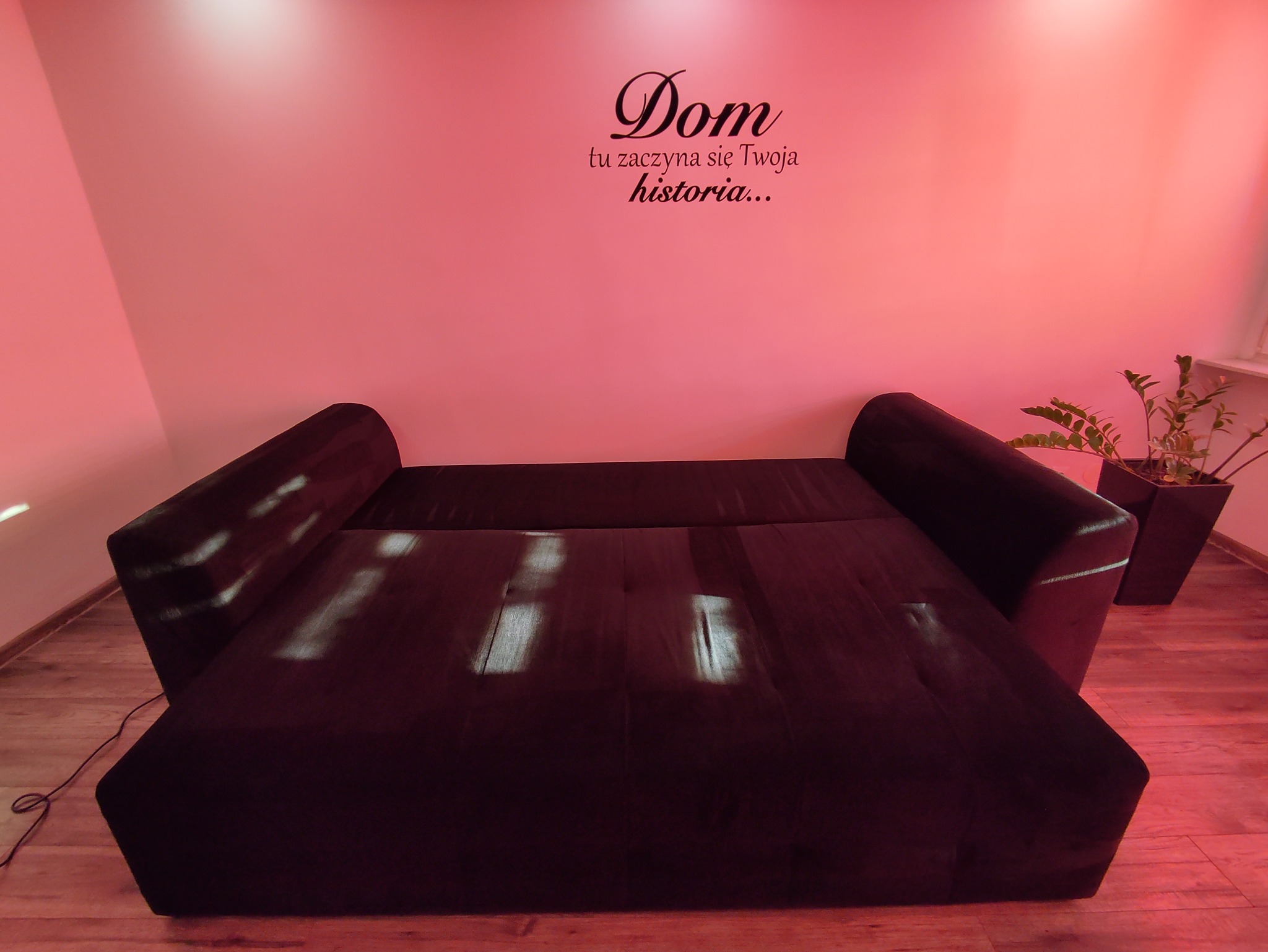 Rozłożona, ciemna kanapa z widocznymi przeszyciami i zagłówkami, na tle różowej ściany z napisem 'Dom, tu zaczyna się Twoja historia...', obok doniczka z zieloną rośliną.