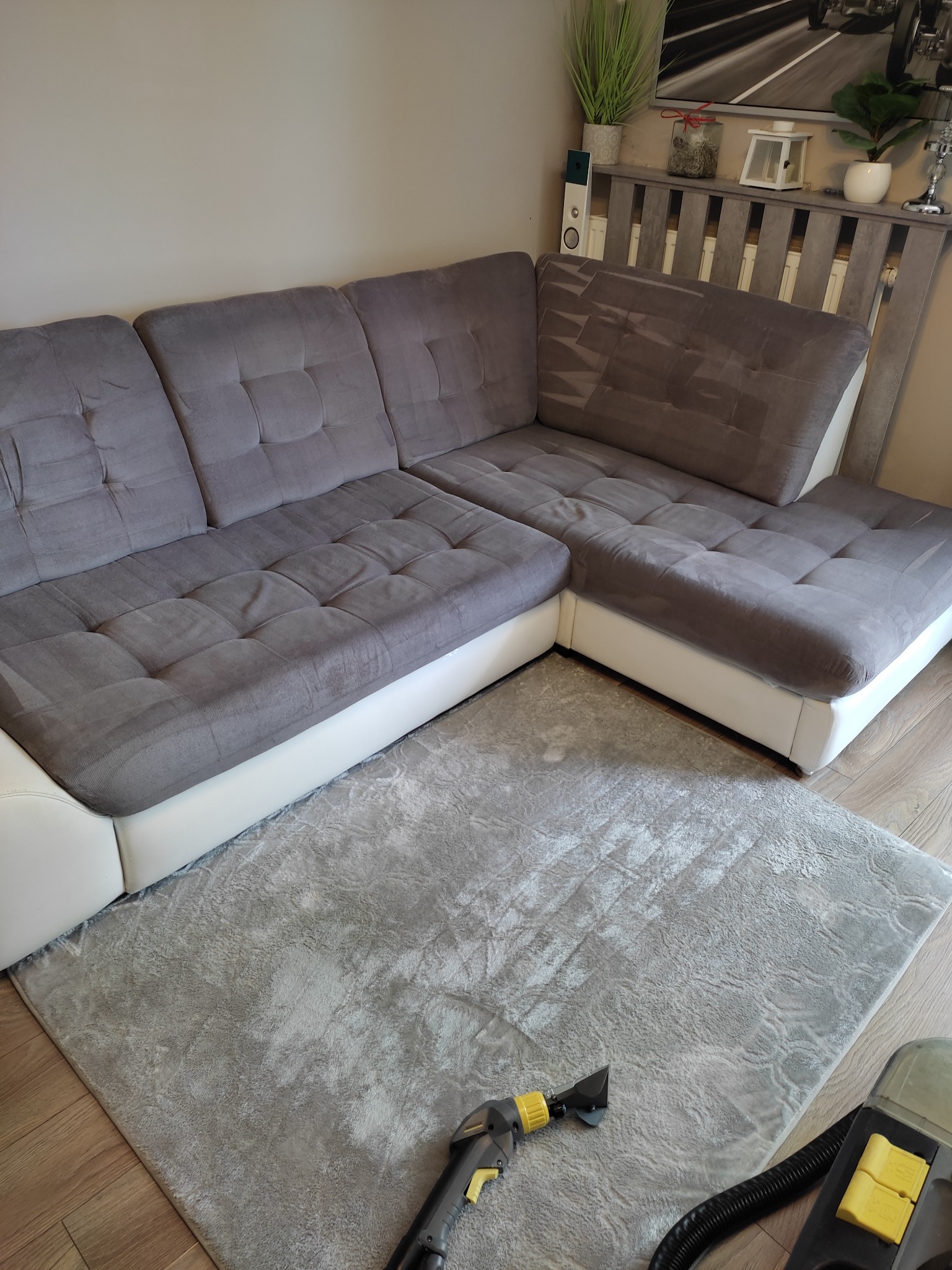 Szara narożna kanapa z jasną bazą i szary dywan w trakcie czyszczenia parowego; widoczna dysza i zbiornik odkurzacza piorącego.