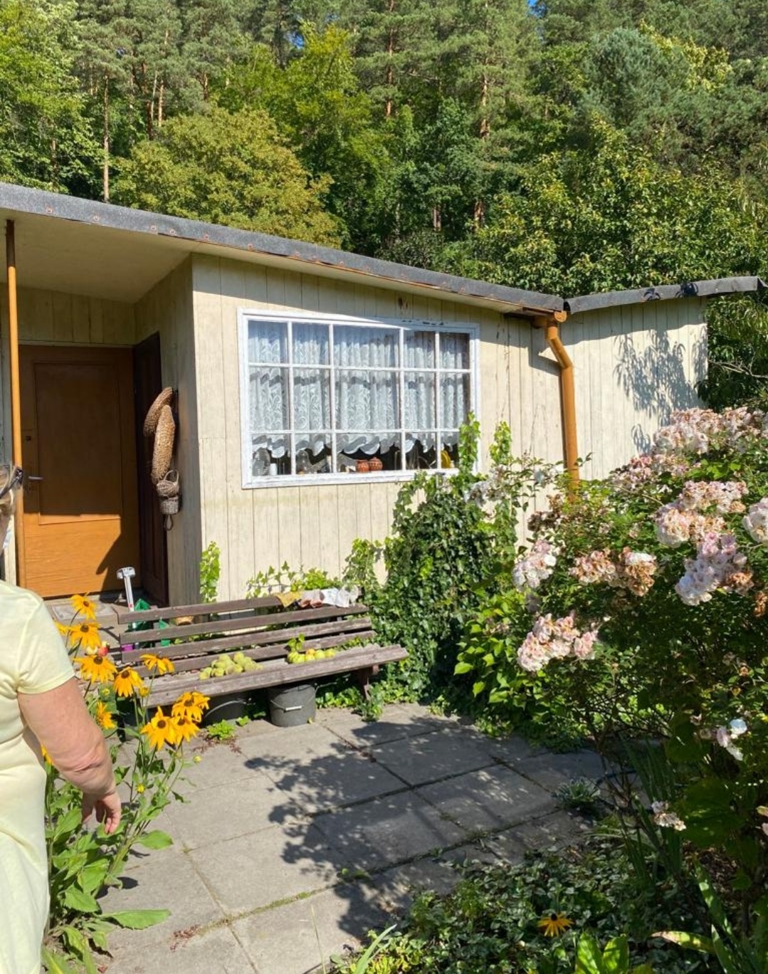 Drewniana altanka z białymi ramami okiennymi i koronkowymi firankami, otoczona zielenią, kwiatami i betonową ścieżką