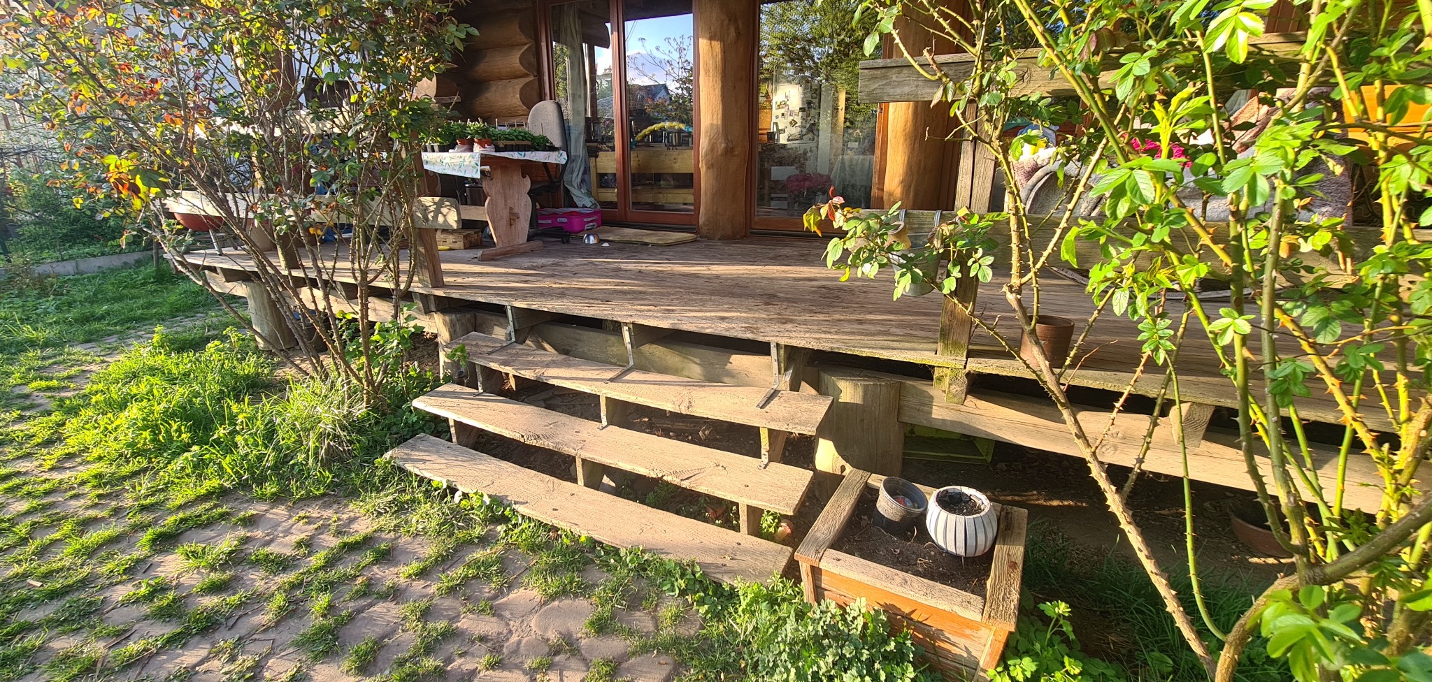 Drewniany taras z widocznymi schodami i roślinami. Na tarasie stoją donice, a w tle widać przeszklone drzwi do drewnianego domu.