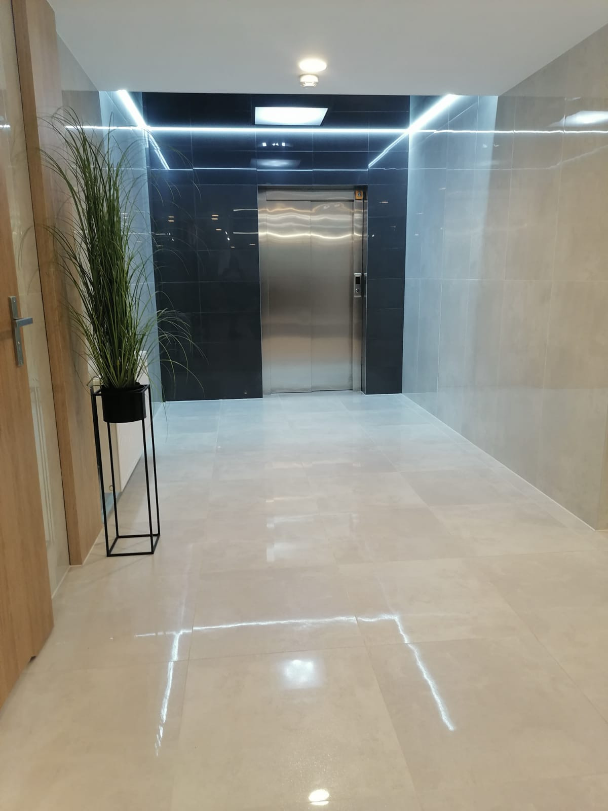 Korytarz z jasnymi, kwadratowymi płytkami podłogowymi i ściennymi, czarną ścianą z windą ze stali nierdzewnej, oświetleniem LED na suficie i wysoką rośliną doniczkową w czarnym stojaku.
