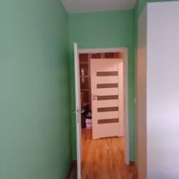 Ściana pomalowana na zielono, widok na otwarte drzwi z panelami i fragment szafy. Na podłodze panele drewnopodobne.