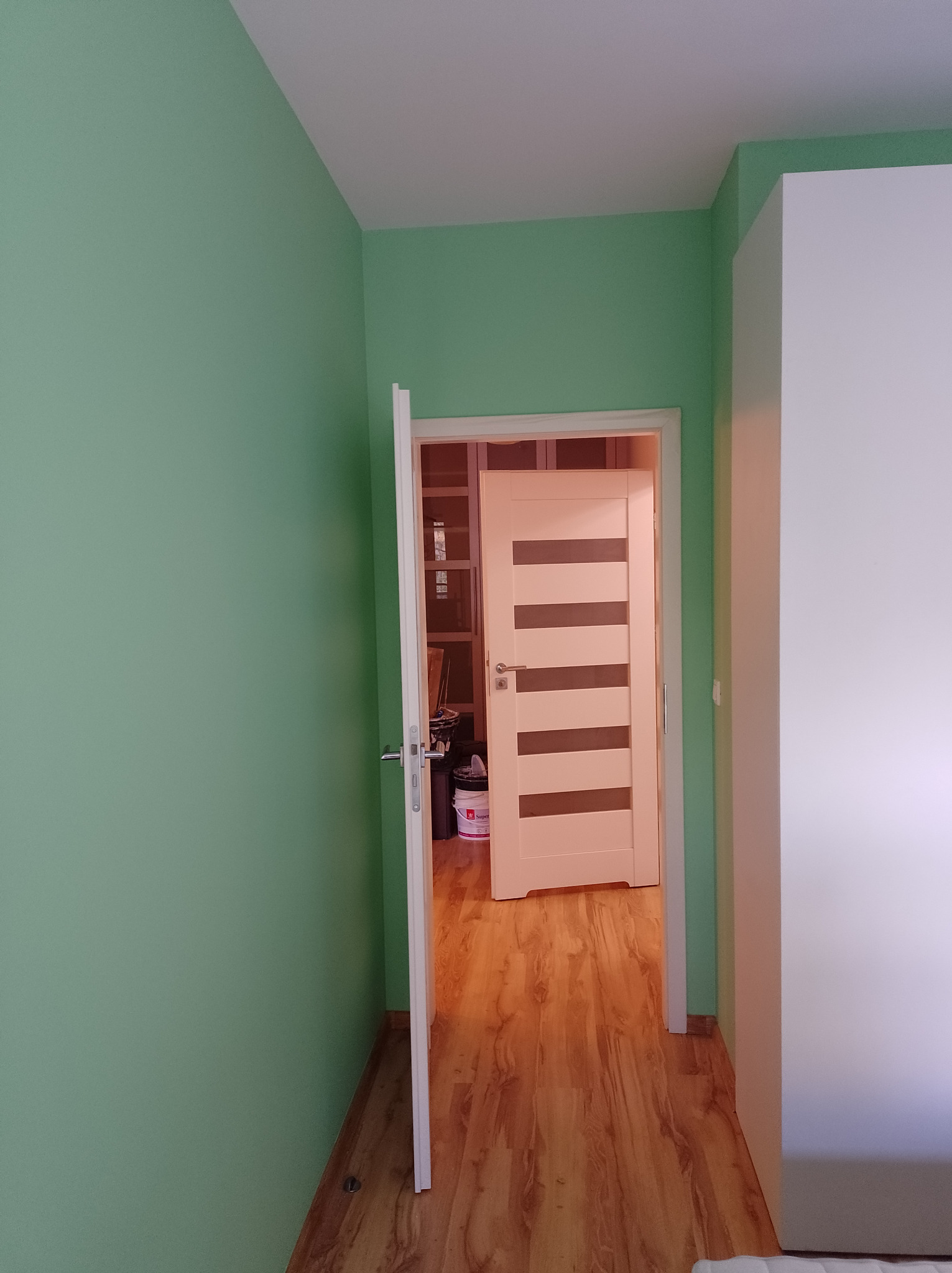 Ściana pomalowana na zielono, widok na otwarte drzwi z panelami i fragment szafy. Na podłodze panele drewnopodobne.