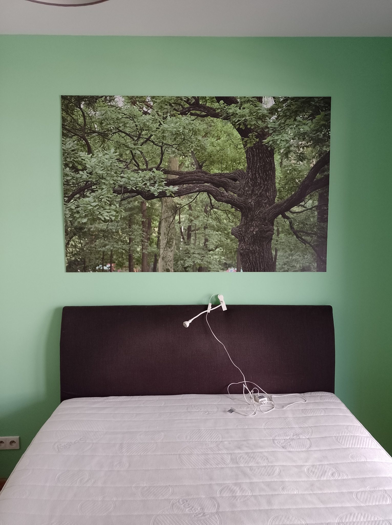 Zdjęcie sypialni z łóżkiem, nad którym wisi obraz z motywem drzewa na ścianie w kolorze miętowym; widoczne gniazdko elektryczne po lewej stronie.