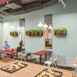 Wnętrze kawiarni z elementami industrialnymi: widoczne rury pod sufitem, surowy beton, ściany w pastelowym odcieniu, donice z roślinami, stoliki z klientami oraz lada z tacami pełnymi pączków...