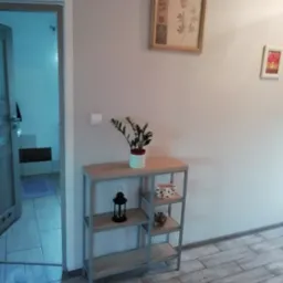 Wnętrze łazienki z otwartymi drzwiami, widoczna półka metalowa z drewnianymi blatami, na której stoi roślina doniczkowa, lampion i dekoracyjne miseczki. Na ścianie wiszą dwa obrazy.