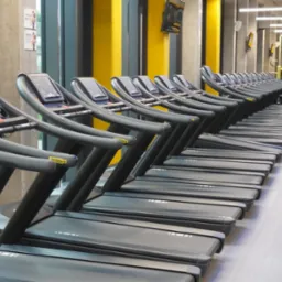 Rząd identycznych bieżni Technogym ustawionych w rzędzie w jasnej siłowni z żółtymi akcentami, widoczne inne maszyny do ćwiczeń w tle.
