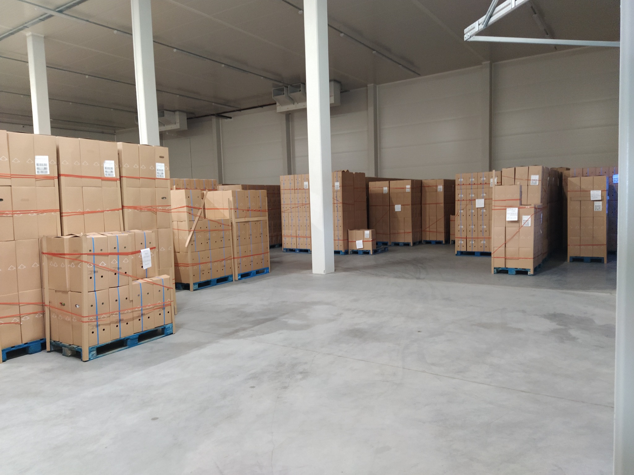 Kartonowe pudła ułożone na niebieskich paletach w przestronnym magazynie z betonową podłogą i białymi ścianami, oświetlone światłem jarzeniowym.