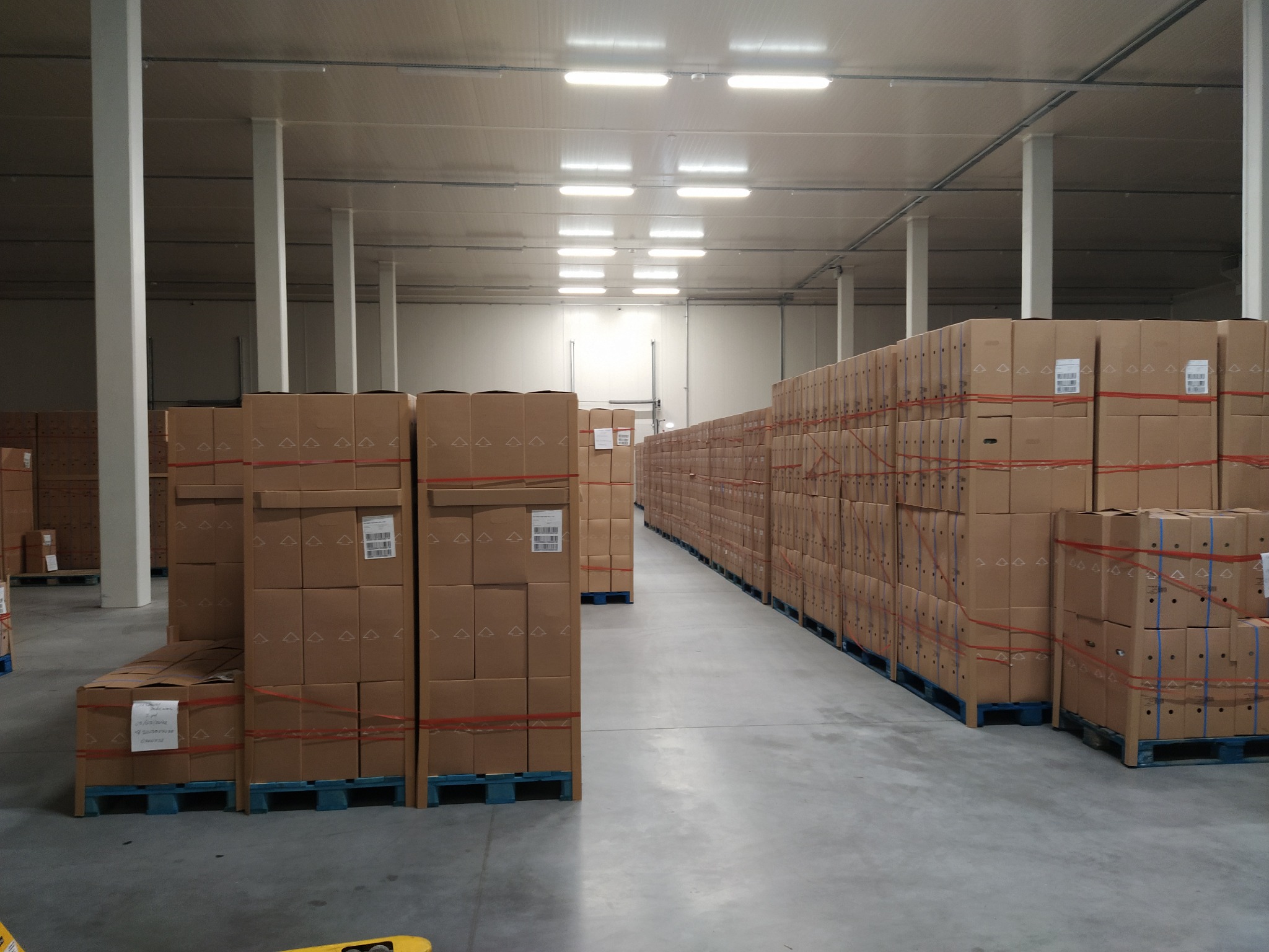 Wnętrze magazynu z rzędami kartonowych pudeł na niebieskich paletach, oświetlone rzędami lamp sufitowych.