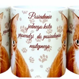 Trzy białe ceramiczne kubki z nadrukiem rudego kota i tekstem o posiadaniu kota, ustawione obok siebie na białym tle.