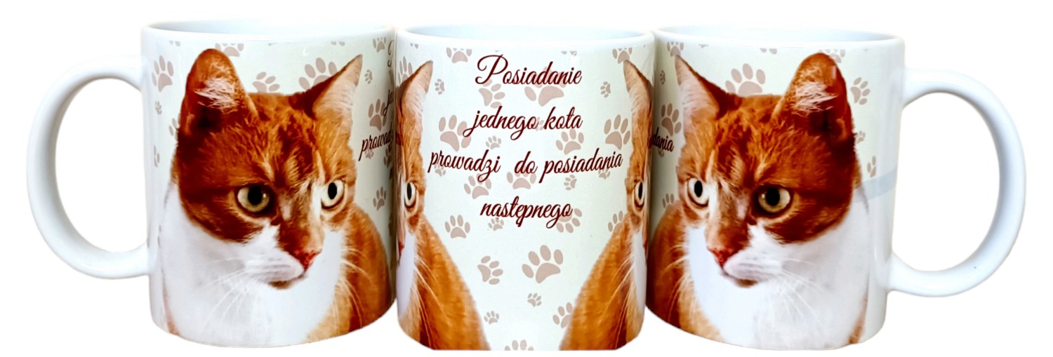 Trzy białe ceramiczne kubki z nadrukiem rudego kota i tekstem o posiadaniu kota, ustawione obok siebie na białym tle.